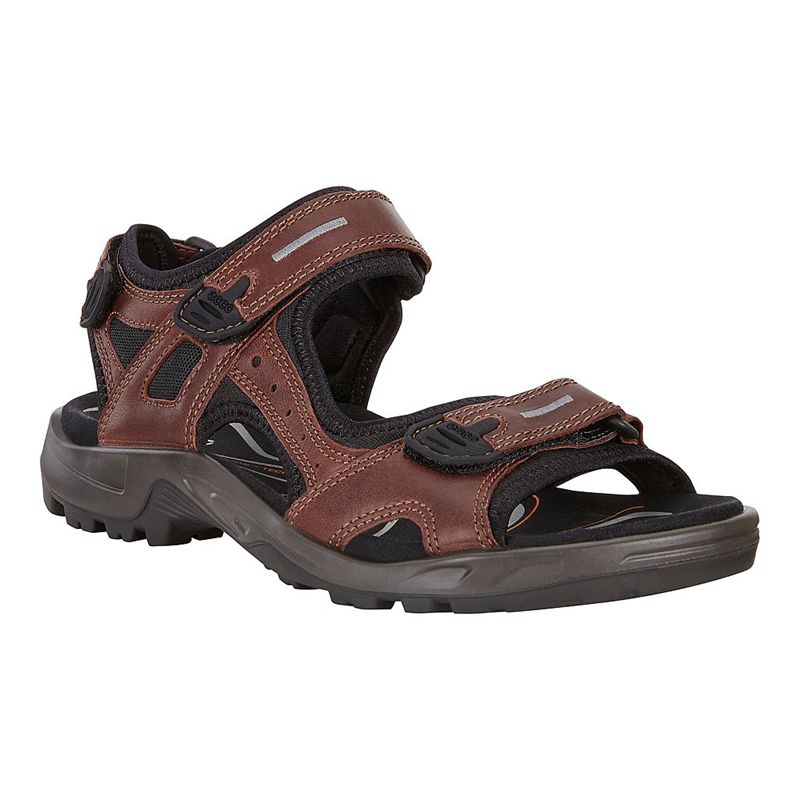 Men Ecco Offroad - Sandals Brown - India JQFCMT921